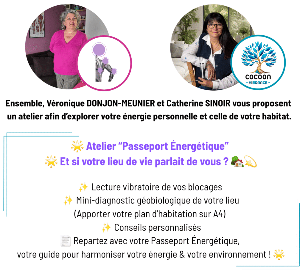 Atelier, roanne, passeport énergétique, vibratoire, géobiologie, feng shui, blocages, conseils personnalisés