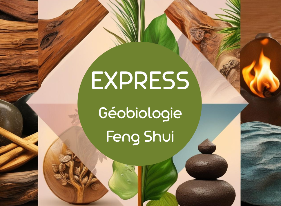 Cocoon vibrance, loire, 42, roanne , feng shui, géobiologie. Consultation, diagnostic